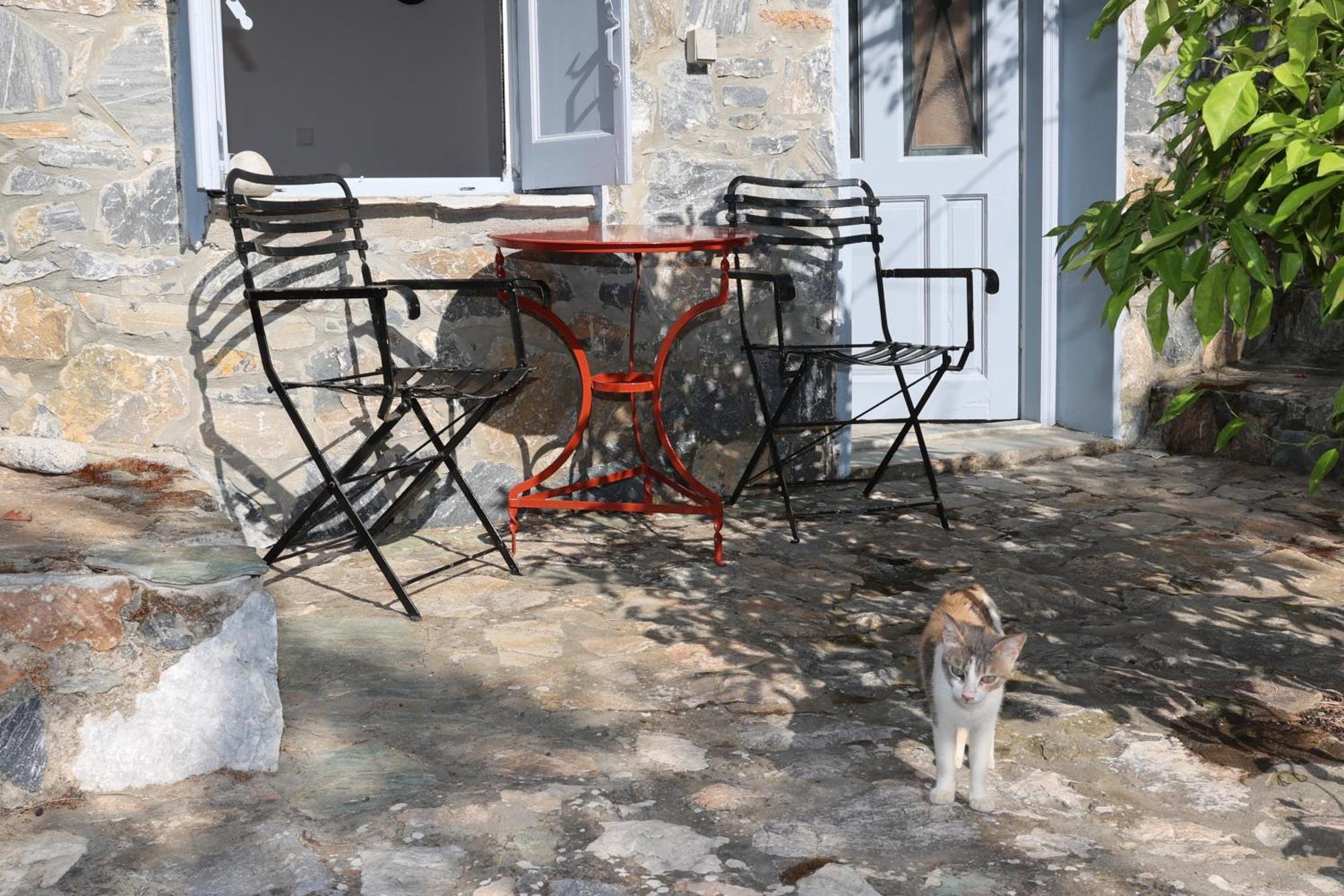 Δωμάτια Κόκκινος Πύργος Plomari Exteriér fotografie