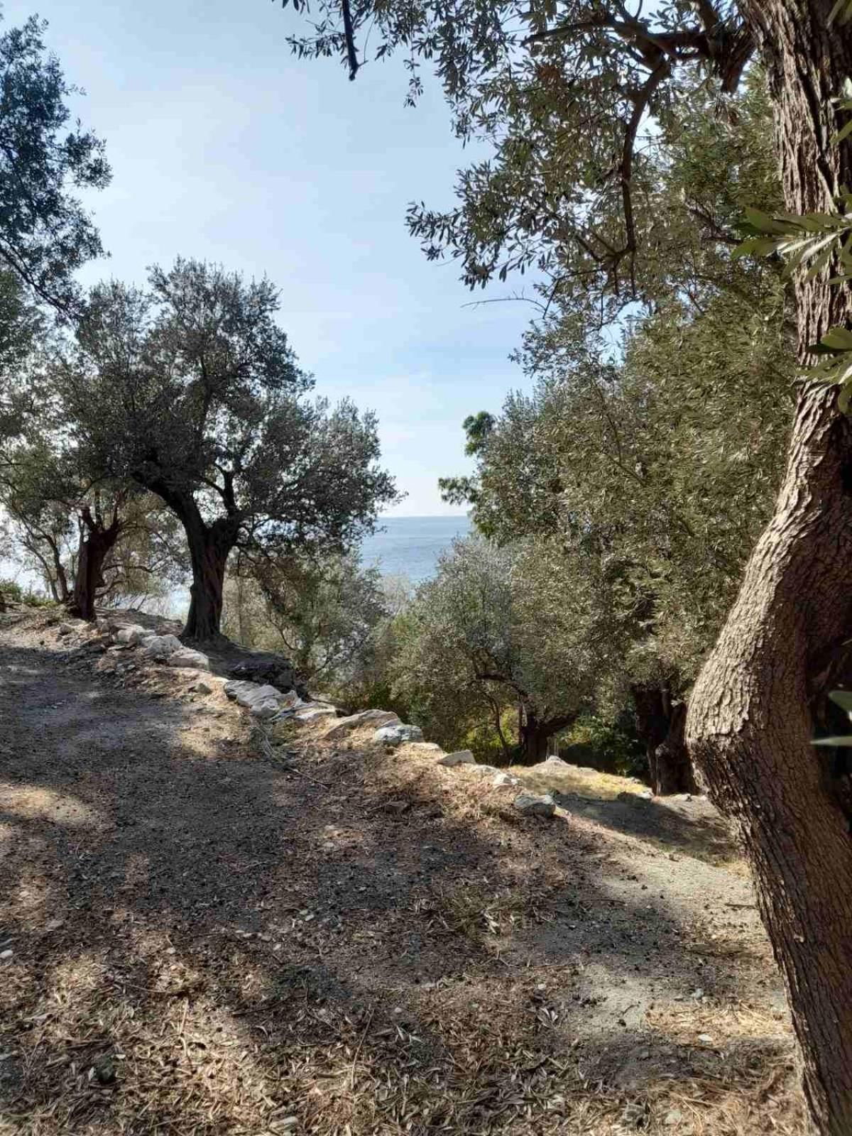 Δωμάτια Κόκκινος Πύργος Plomari Exteriér fotografie